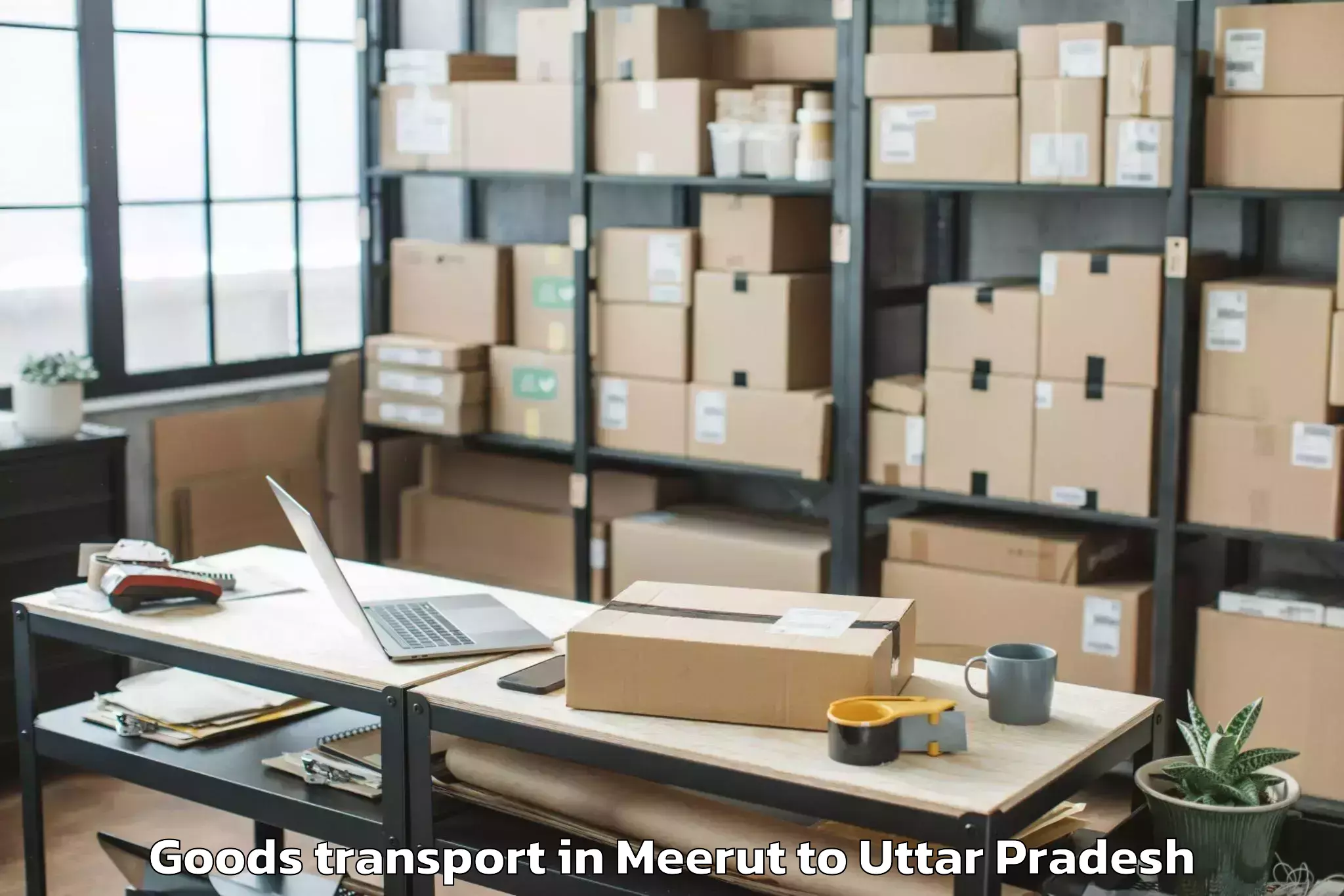 Hassle-Free Meerut to Bidhuna Goods Transport